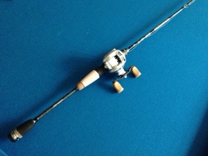 Heavy duty fishing rod with maximum fishing weight capacity (63